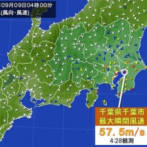 今年も想定を超える強さでのサムネイル画像