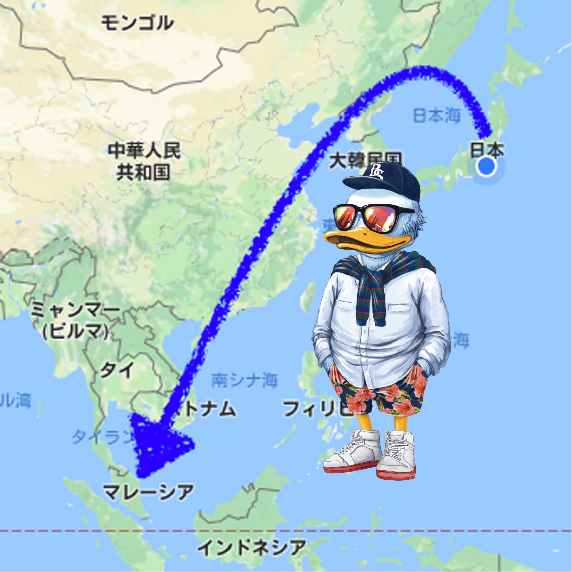 DUCK DUDEの越境ECサイトオープン!