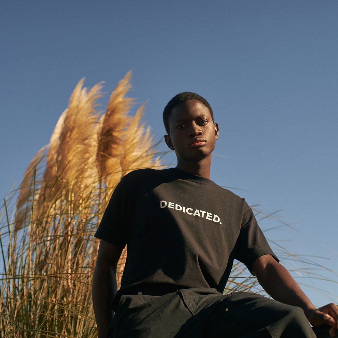 DEDICATED.ウェブサイトオープン